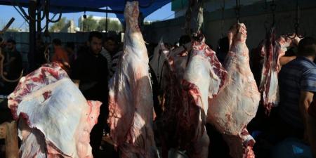 التعجيل مستحب.. الإفتاء توضح آخر موعد يجوز فيه ذبح الأضاحى