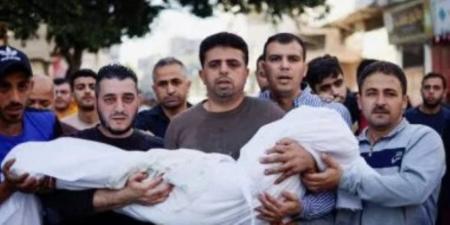 17 شهيدا جراء هجمات الاحتلال على خان يونس ورفح الفلسطينية