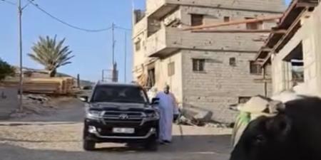 بالفيديو : أردني يذبح عجلًا ويوزعه صدقة عن أرواح شهداء غزة