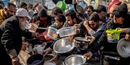 طبيبة أمريكية: ادعاء إسرائيل السماح بدخول المساعدات للقطاع غير صحيح