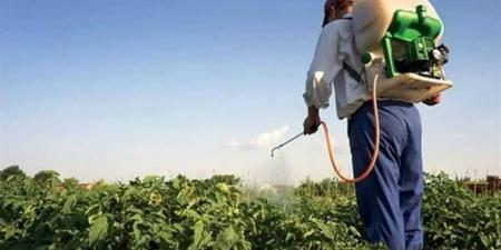 إجبار مكتب الزراعة بذمار على استلام وتوزيع مبيدات منتهية الصلاحية وتحذيرات من كارثة مرتقبة