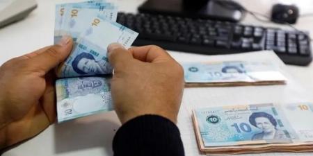 وزارة الفلاحة وبنك التضامن يصدران منشورا يقضي بتمويل موسم حصاد الاعلاف الخشنة