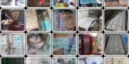تموين القليوبية تحرر 396 محضرا ومخالفة خلال حملات على الاسواق