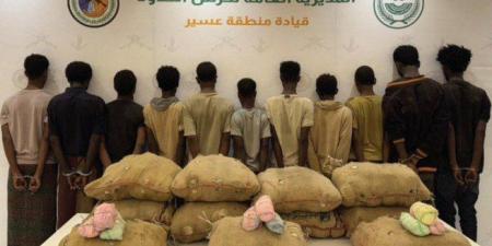 ضبط (11) شخصا لمحاولتهم تهريب كمية من نبات القات المخدر بمنطقة عسير