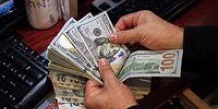 بعد ارتفاعها.. كيف تسهم تحويلات المصريين بالخارج فى تراجع التضخم