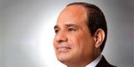 نواب وأحزاب يؤيدون بيان الخارجية ويؤكدون: ندعم إجراءات الدولة المصرية للحفاظ على الأمن القومى ونرفض المساس بالسيادة الوطنية