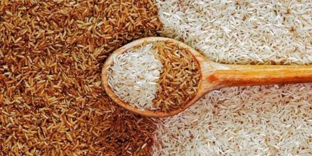 ارتفاع مفاجئ في سعر طن الأرز الشعير بمصر.. ماذا ينتظر المستهلك؟