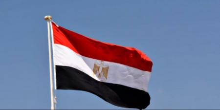 القانون يحظر رفع أو عرض العلم المصرى تالفا أو مستهلكا أو باهت الألوان