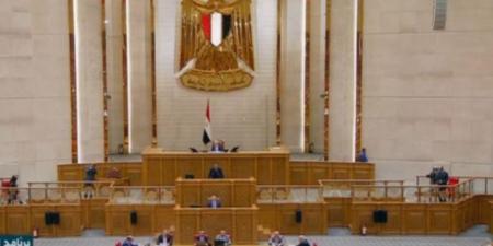 مجلس النواب يوافق على قانون تنظيم ملكية الدولة في الشركات المملوكة لها مبدئيا