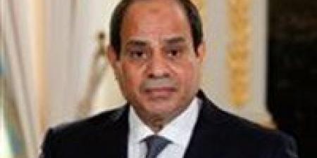 بسمة جميل: مبادرة "مصر معاكم" رسالة عرفان وتجسيد فعلي لقيم التقدير والإنصاف لأسر الشهداء