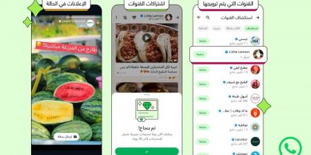 لأول مرة .. واتساب تبدأ عرض الإعلانات في تبويب “التحديثات”
