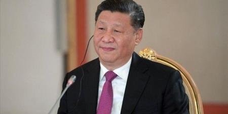 الرئيس الصيني: نعارض انتهاك سيادة وأمن أراضي الدول الأخرى والصراعات العسكرية ليست حلا للمشاكل