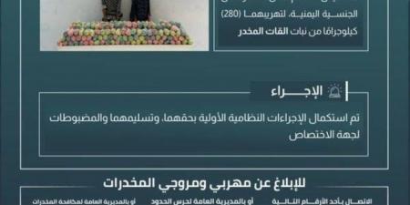 حرس الحدود بجازان يقبض على مخالِفَين لنظام أمن الحدود لتهريبهما 280 كيلوجرامًا من نبات القات المخدر