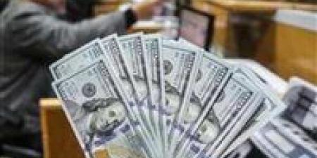 الاحتياطي النقدي وتأمين السلع.. كيف تحصن مصر اقتصادها في وجه الأزمات العالمية؟