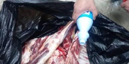 ضبط كميات لحوم فاسدة في الكرك