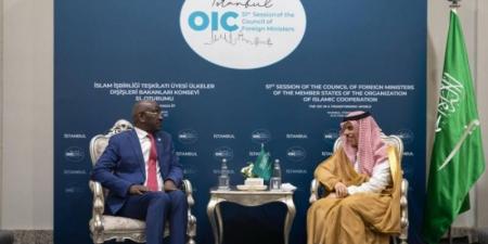 وزير الخارجية ونظيره الموريتاني يبحثان المستجدات الإقليمية والدولية