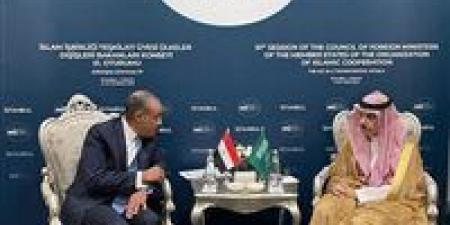 على هامش اجتماعات منظمة التعاون الإسلامي في أسطنبول.. وزير الخارجية والهجرة يلتقي بنظيره السعودي