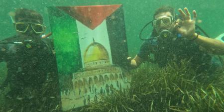 المنستير: انطلاق المسابقة الدولية في التصوير الفوتوغرافي والفيديو تحت الماء بعد تأجيلها بيوم بسبب الأحوال الجوية