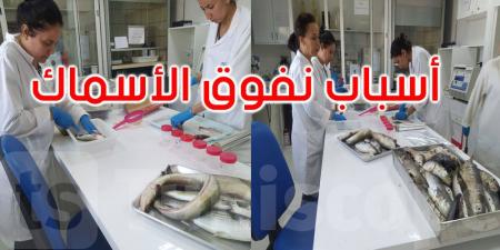عاجل: وزارة الفلاحة تحقق في أسباب نفوق الكائنات البحرية في خليج المنستير وتحذر