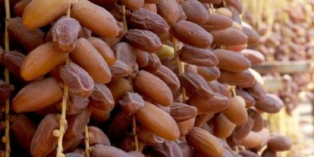 تراجع عائدات صادرات التمور بنسبة 4,4 الى موفى ماي 2025