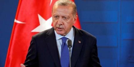إردوغان: لن نسمح أبدا لسوريا أن تُجر إلى وضع جديد من عدم الاستقرار بفعل منظمات إرهابية