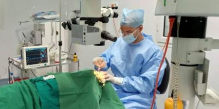 تونس تُسجل سابقة في مجال صحة العيون على المستوى الإفريقي بإجراء 733 عملية جراحية مجانية في يوم واحد..