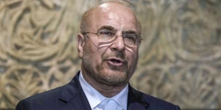 رئيس البرلمان الإيراني: نسعى إلى إقرار مشروع قانون لتعليق تعاون إيران مع الوكالة الدولية للطاقة الذرية