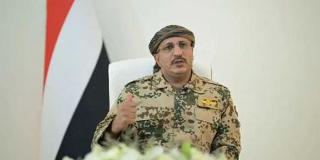 المقاومة الوطنية توجه خطابًا ناريًا لرئيس مجلس القيادة ‘‘العليمي’’