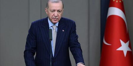 أردوغان: تركيا ستواصل دعم استقرار سوريا