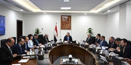 رئيس الوزراء المصري يستعرض نتائج التعاون لتطوير العلاج الجيني للسرطان