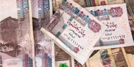 أفضل وجهة للاستثمار في مصر 2025.. شهادات الادخار أم أذون الخزانة؟