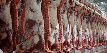 «الأوقاف»: توزيع 50 طنّ لحوم أضاحي على الأسر الأولى بالرعاية