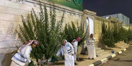 مكتب بيئة الخرمة يعزز الاستدامة الخضراء