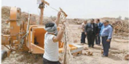 مخالفات النخيل.. تحقق المستحيل