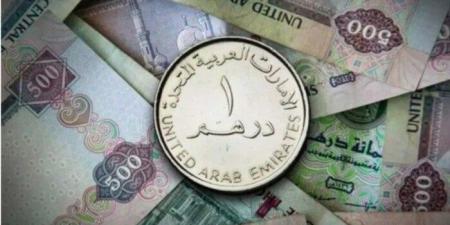 سعر الدرهم الإماراتي مقابل الجنيه اليوم السبت 28 يونيو 2025