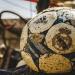ريال مدريد ينهي اتفاقه مع ألونسو بعقد حتي 2028 ووداع خاص لأنشيلوتي