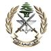 الجيش: توقيف 35 شخصً أطلقوا النار بعد صدور نتائج الانتخابات البلدية في الشمال وعكار