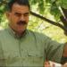 حزب العمال الكردستانى: الجماعة قررت حل نفسها وإنهاء الصراع المسلح مع تركيا
