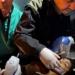 الصحة الفلسطينية: غزة دخلت المرحلة الخامسة من المجاعة و60 ألف طفل مهددون بالموت
