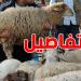 لهذا السبب فلاحوا تطاوين يعترضون على التسعيرة الرسمية لبيع الأضاحي بالميزان