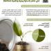 القطاع الخاص يقود التمويل التنموي في مصر باستراتيجية وطنية متكاملة