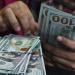 سعر الدولار مقابل الجنيه المصري اليوم السبت 24 مايو 2025.. وفقًا لآخر تحديث