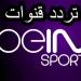 القنوات الناقلة لـ مباراة باريس سان جيرمان وريمس في نهائي كأس فرنسا 2025
