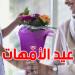 لماذا يحتفل اليوم بعيد الأمهات في تونس؟