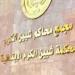 جنايات شبين الكوم تحيل أوراق ربة منزل وعشيقها وسائق إلى المفتي