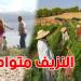 شاحنة الموت في الكاف تفتك بحياة ثالثة...