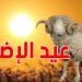 درجات حرارة مرتفعة يوم عيد الأضحى