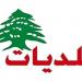 انتهاء عملية انتخاب رؤساء بلديات منطقة جزين ونوابهم