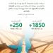 السياحة تنفذ 1850 زيارة رقابية على مرافق الضيافة في المدينة المنورة