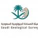 المساحة الجيولوجية ترصد هزة أرضية في الخليج العربي